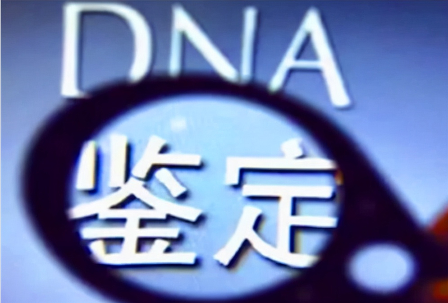 攀枝花户籍亲子鉴定电话查询,